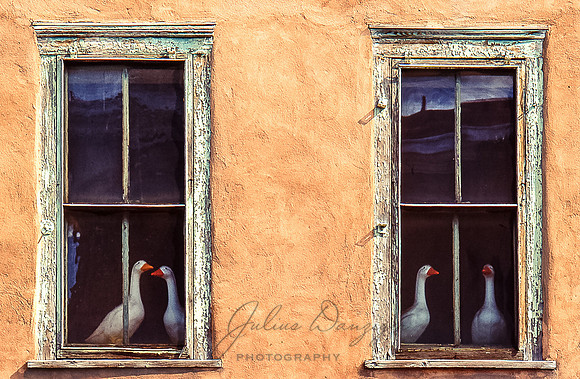 Whats in the window