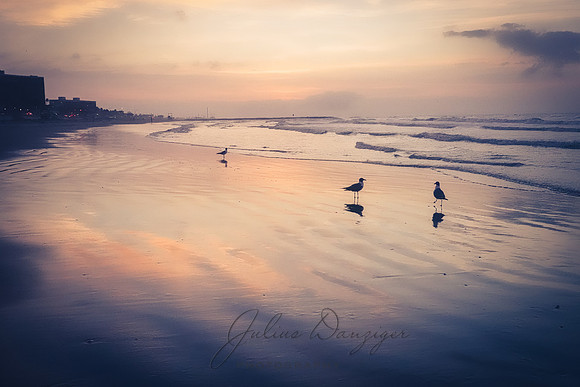 Tranquility