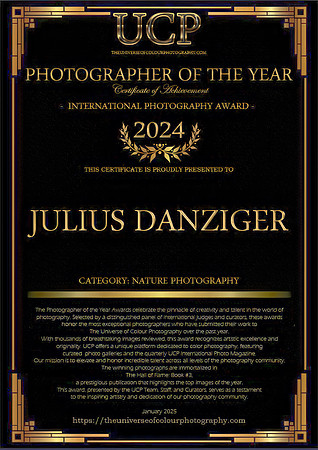 JULIUSDANZIGER