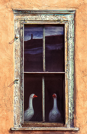 Ducks in a window