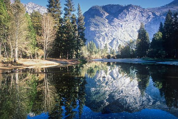 Reflections