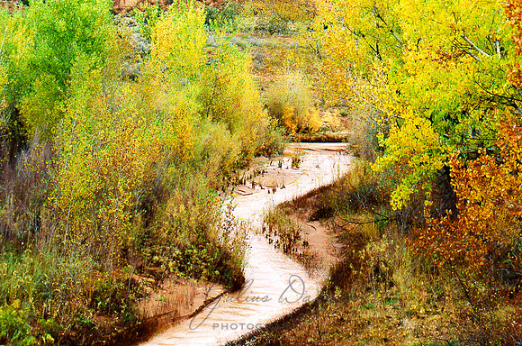 Spring foliage surrounding winding river