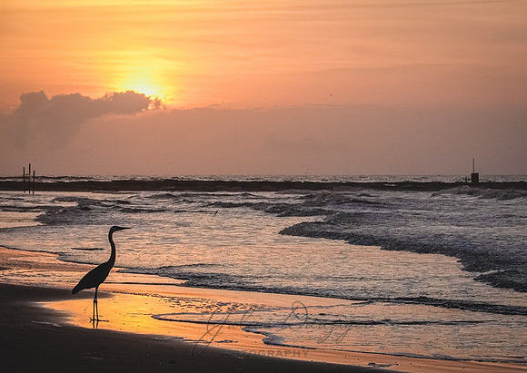 Sunrise on the beach