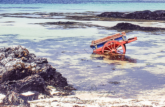 Carriage in water
