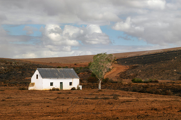 Arniston House Field-2-4